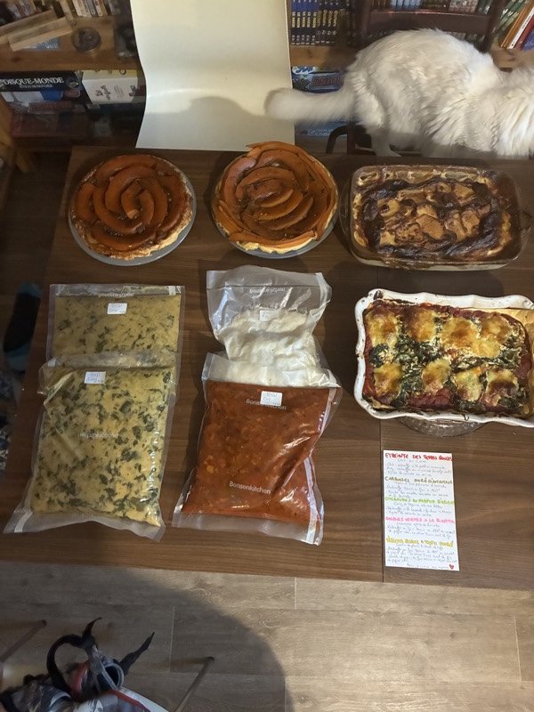 Un batch cooking pour 6, full VEGETARIEN